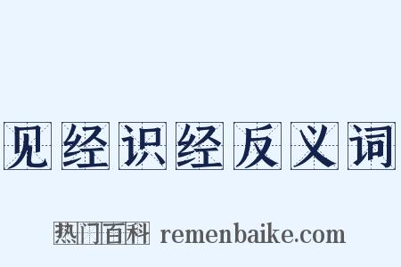见经识经反义词是什么意思的图片